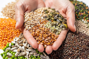 7 Incredible Health Benefits of Natural Seeds You Should Know